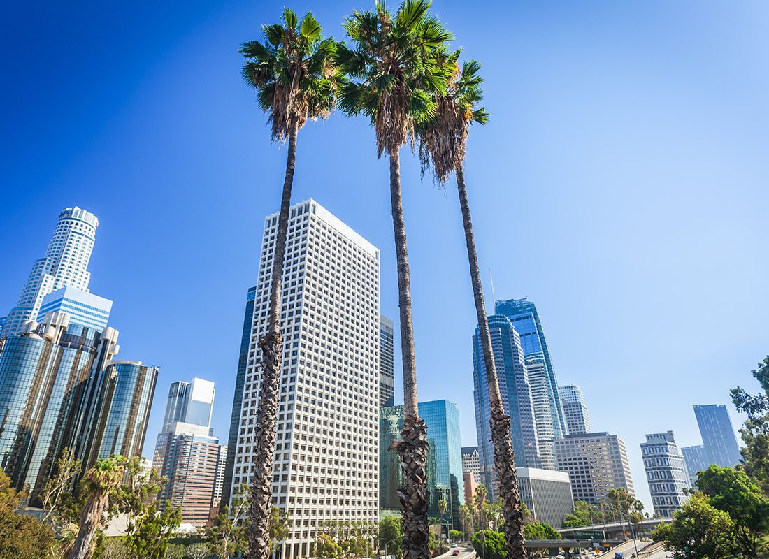 About Our Agency - View of Commercial Buildings and Palm Trees in Los Angeles California Against a Bright Blue Sky
